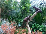 300-08-FlowerDome