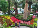 303-13-FlowerDome