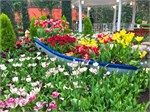 307-20-FlowerDome