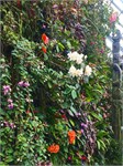 333-22-CloudForest
