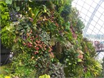 348-39-CloudForest