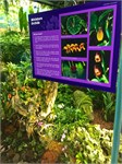 350-46-CloudForest