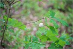 371-04-BlackRiverFallsWI