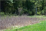 378-07-N_CountryNatlTrailWI