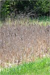 379-08-N_CountryNatlTrailWI