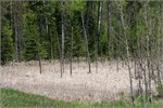 380-12-N_CountryNatlTrailWI