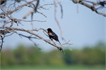 381-05-BeaudryPrkManitoba