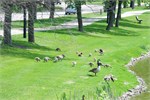 384-09-PortageLaPrairieCanada