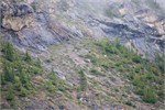 419-04-JasperWildlife