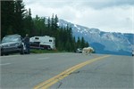 426-22-JasperWildlife