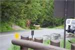 471-24-GoingToTheSunRoad
