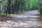 549-51-GrandTetonSusan