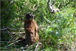 566-06-GrandTetonSusan