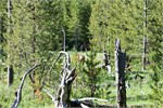 586-02-Tetons2Spokane