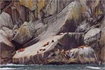 621-30-KenaiFjordWildlife