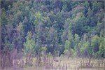 699-13-TrainToDenali