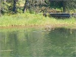 748-23-DenaliHorshoeLake