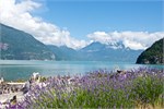785-27-SeaToSkyHwy