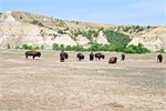 838-62-RooseveltNatlPark
