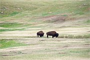 04-Wind_Cave_Natl_Park