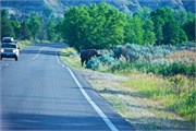 09-RooseveltNatlPark