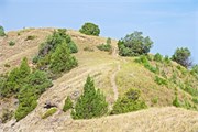 27-RooseveltNatlPark