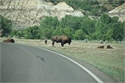 61-RooseveltNatlPark