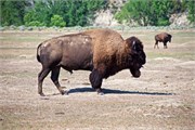 63-RooseveltNatlPark