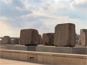 IMG_4502