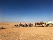 IMG_4569