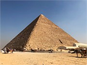 IMG_4595