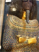 IMG_4727