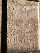 IMG_4787