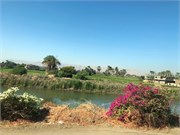 IMG_4916