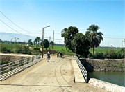 IMG_4925