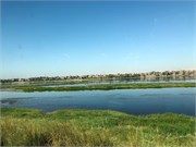 IMG_5178