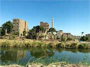 IMG_5252