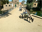 IMG_5257