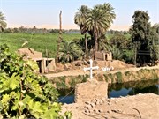 IMG_5392