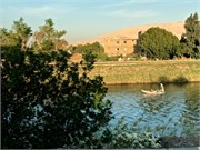 IMG_5489