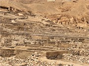 IMG_5666