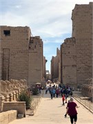 IMG_5992