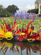 03-Chihuly-Biltmore2018