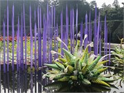 08-Chihuly-Biltmore2018