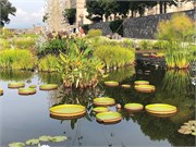 09-Chihuly-Biltmore2018