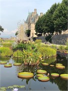 11-Chihuly-Biltmore2018
