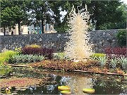 12-Chihuly-Biltmore2018