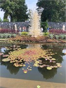 13-Chihuly-Biltmore2018