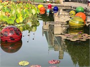 14-Chihuly-Biltmore2018