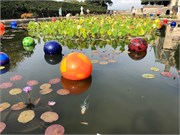 15-Chihuly-Biltmore2018